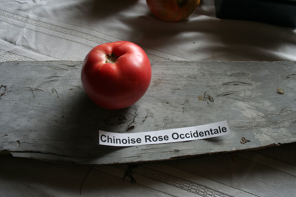 IMG_8507-chinoise_rose_occidentale.jpg