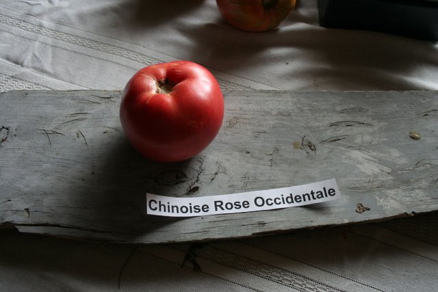 IMG_8507-chinoise_rose_occidentale.jpg