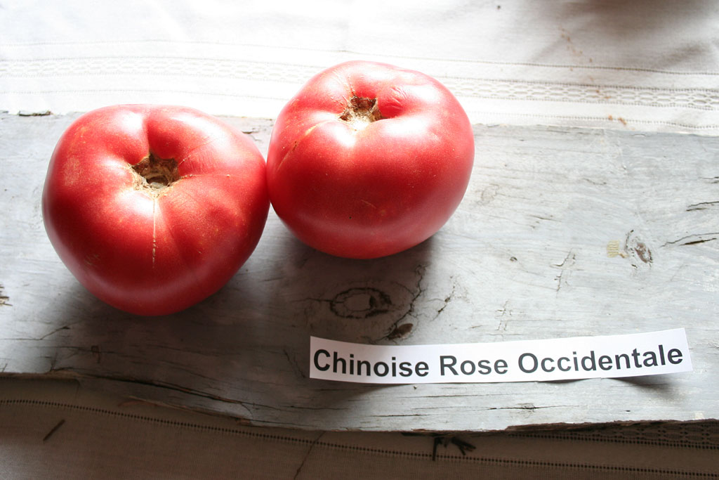 IMG_8508-chinoise_rose_occidentale.jpg