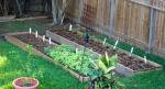 CIMG1407-maingarden_newbeds5
