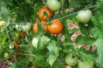 IMG_8687-kazakhstan.jpg