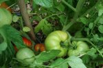IMG_8749-plourde.jpg