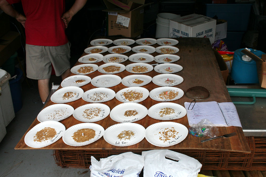 IMG_8476-seedsaving.jpg