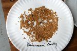 IMG_8478-seedsaving_bre.jpg