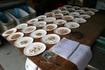 IMG_8479-seedsaving.jpg