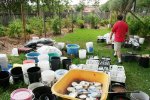 IMG_8482-seedsaving.jpg