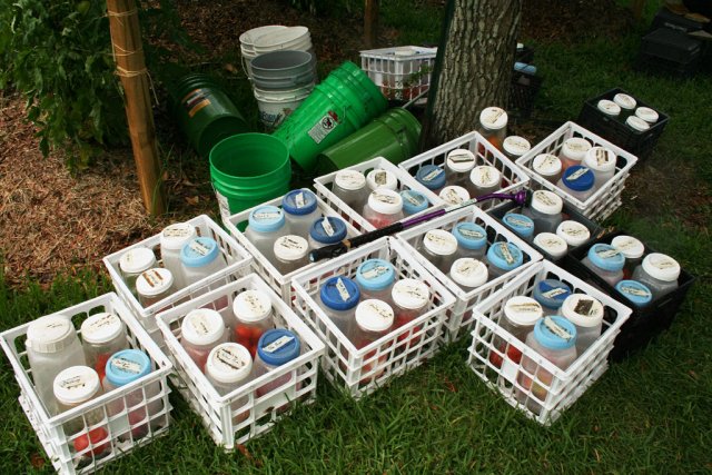 IMG_8518-seedsaving.jpg