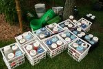 IMG_8518-seedsaving.jpg