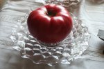 IMG_8814-taps.jpg