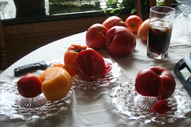 IMG_8813-tasting.jpg