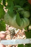 IMG_8851-grosse_de_roc.jpg