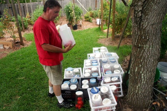 IMG_9048-seedsaving.jpg