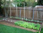 CIMG1438-maingarden_newbeds6