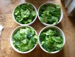 CIMG1452-lettuce6