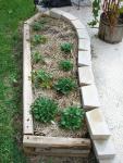 CIMG1456-strawberrypatch3