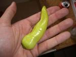 CIMG1468-bananapepper4