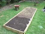 CIMG1498-centralgardenbed3