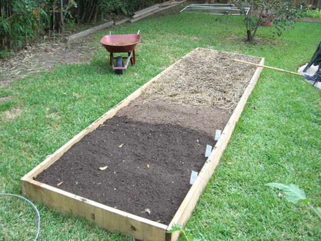 CIMG1498-centralgardenbed3