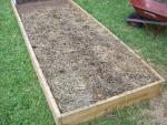 CIMG1500-centralgardenbed4