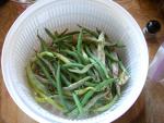 CIMG1552-bushbeans7