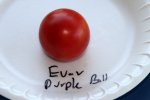Eva Purple Ball (IMG_1514)