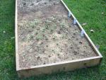 CIMG1660-centralgardenbed6