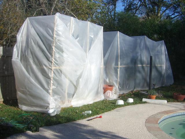 CIMG1769-tempgreenhouses1