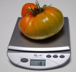 PPJauntyF1weigh