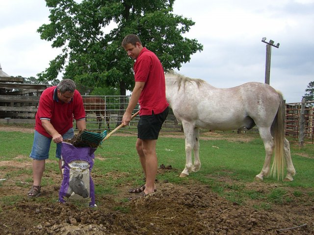 CIMG0998-manure2.jpg