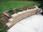 CIMG1378-strawberrypatch2.jpg