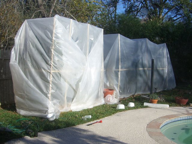CIMG1769-tempgreenhouses1.jpg