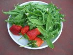 CIMG2023-sugarsnaps10_strawberries.jpg