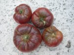 CIMG2805-cherokeepurple21.jpg