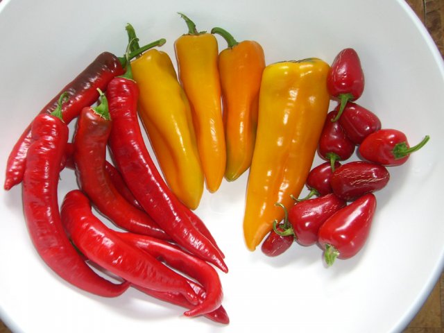 CIMG2955-jimmynardellopeppers8_goldenmarconi.jpg