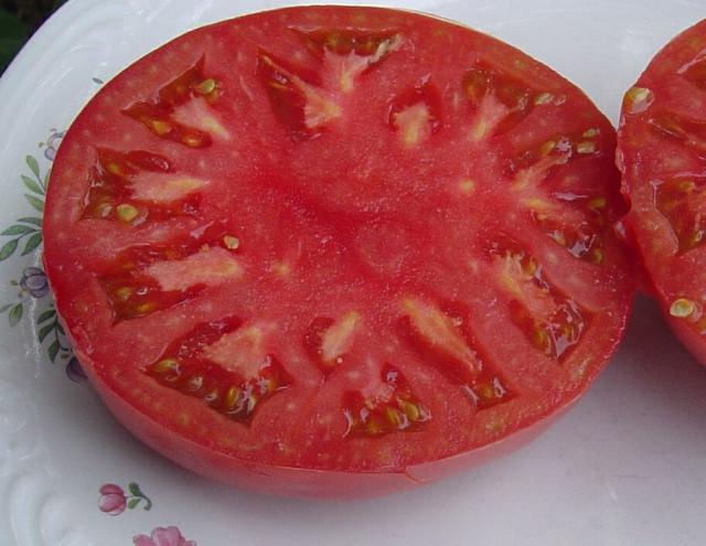 Earl's Faux sliced-first fruit-7-25-04