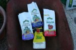 IMG_7875-amendments.jpg