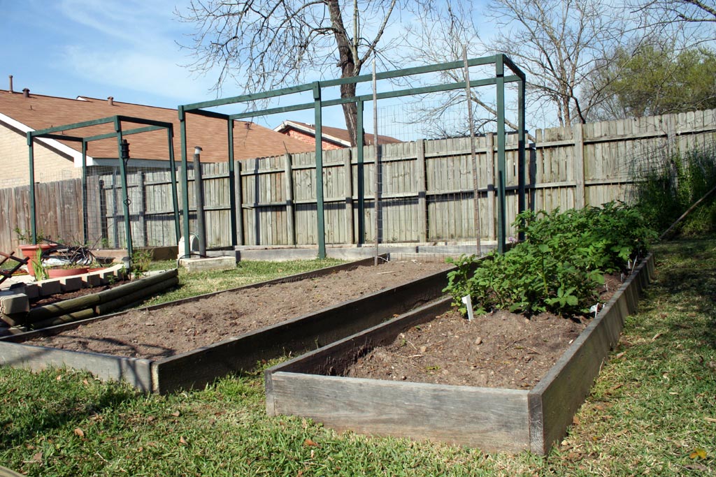 IMG_7895-gardenbeds.jpg