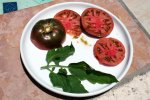 IMG_8339-jdsspecialctex_harvest.jpg