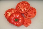 IMG_8389-jdspink_harvest.jpg