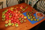 IMG_8413-combined_harvest.jpg