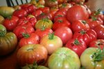 IMG_8418-harvest.jpg