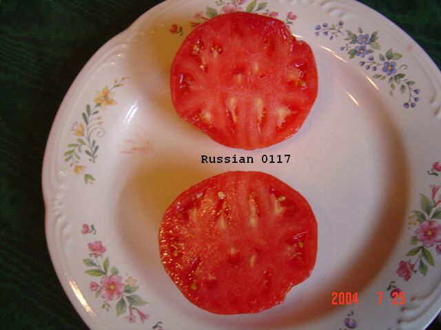 Russian #117 7-25-2004