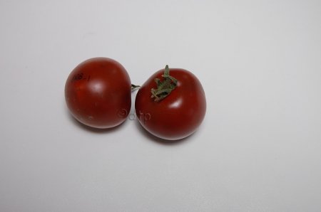 PPBRB1ripe