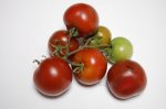 PPBRB2ripe