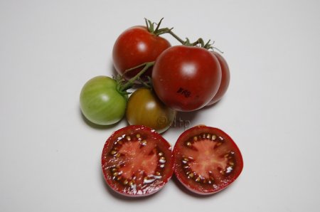 PPBRB2sliced