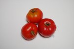PPCVPink1ripe