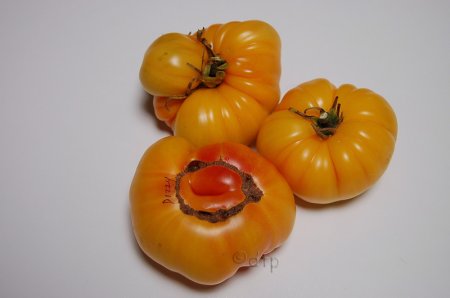 PPDizzyF1ripe