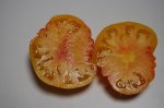 PPDizzyF1sliced