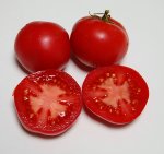 CVP1ripe
