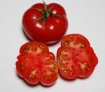 Stumpy2ripe
